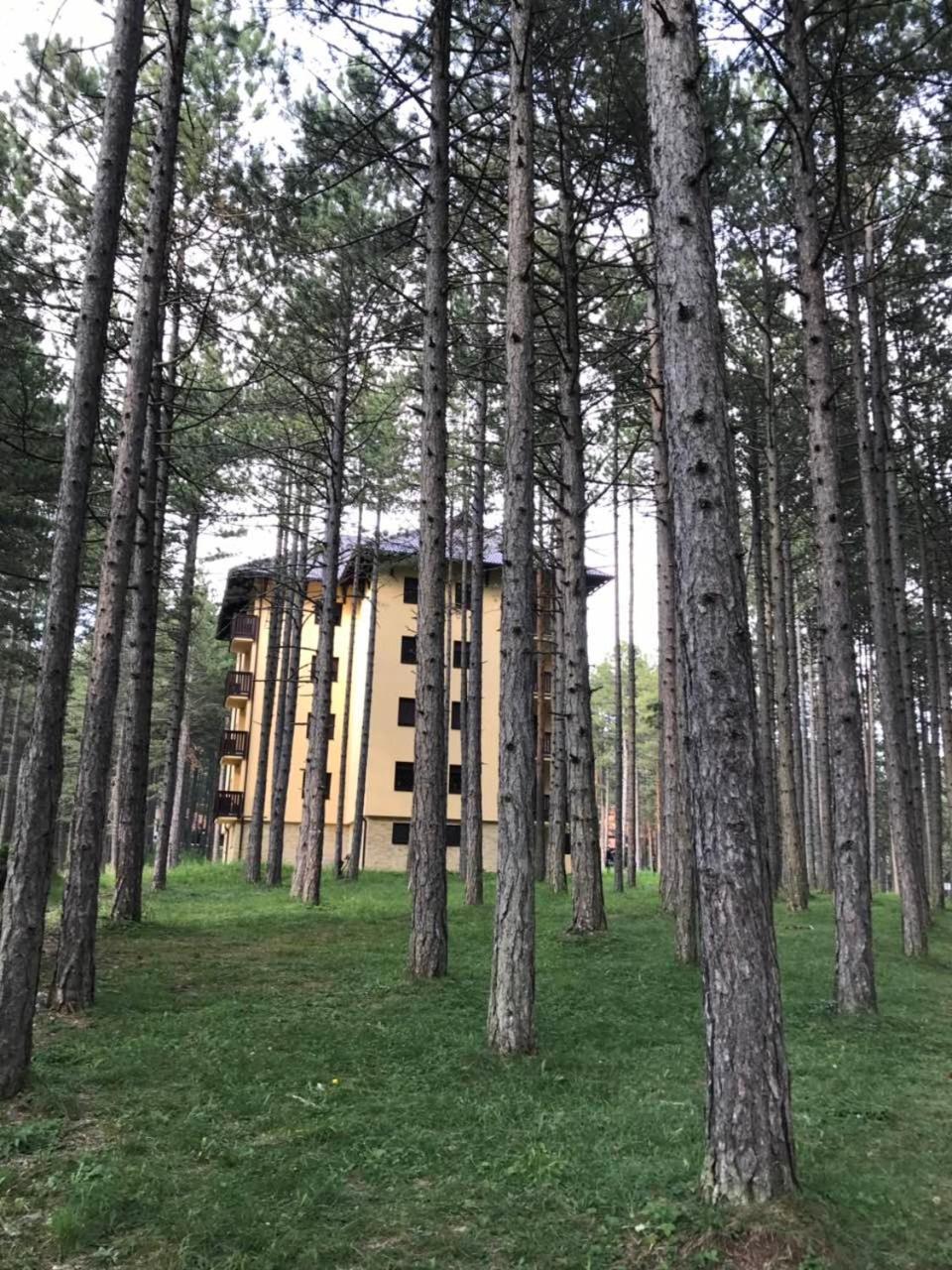 Zlatibor Apartmani Jakovljevic Экстерьер фото
